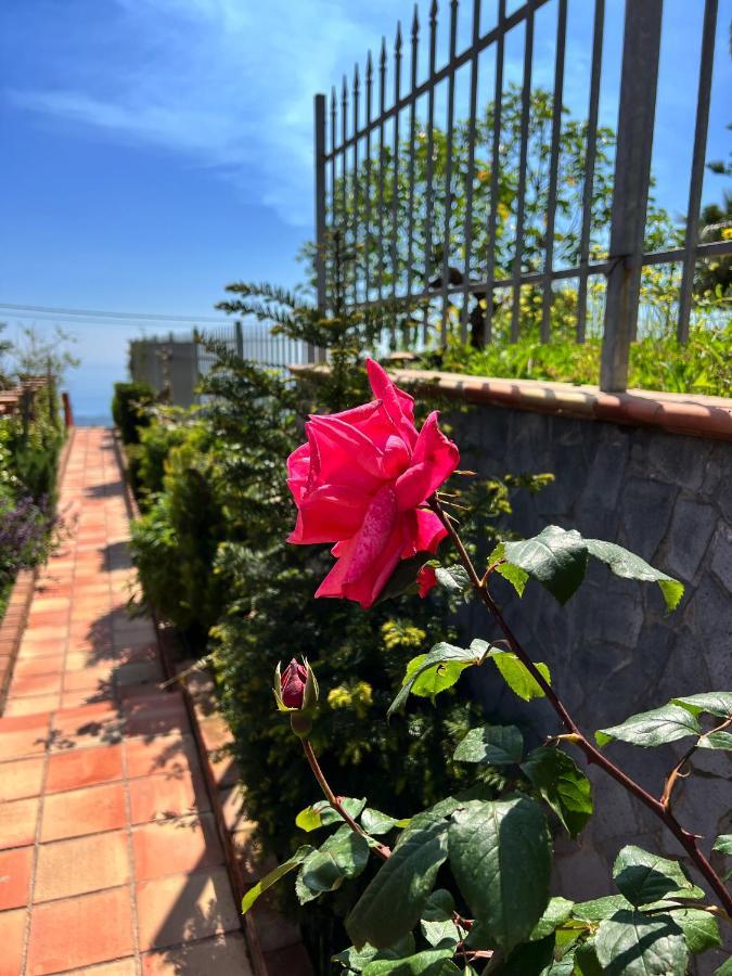 Etna Sunshine Rent Gasthof Puntalazzo