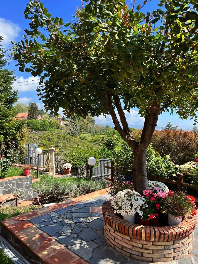Etna Sunshine Rent Guest house Puntalazzo