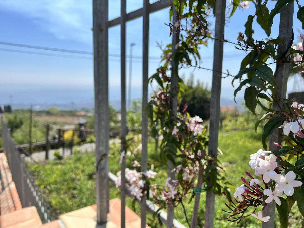 Guest house Etna Sunshine Rent *